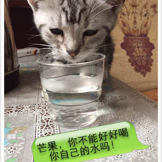 新墨西哥大学金融文凭证书